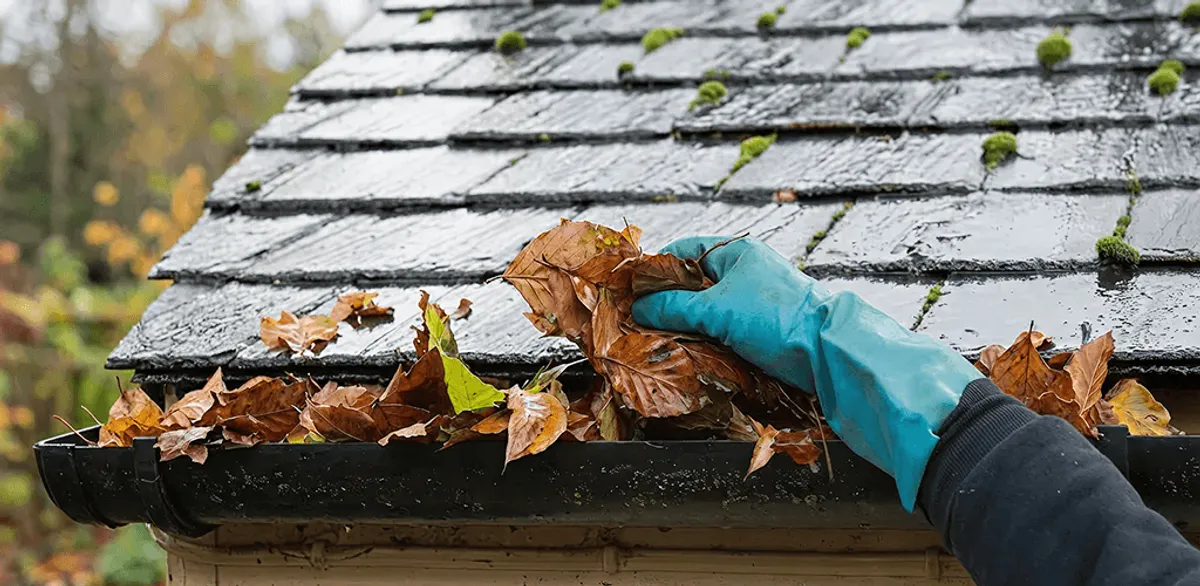 Gutter cleaning technician clearing wet leaves from roof gutters in Riverside, CA